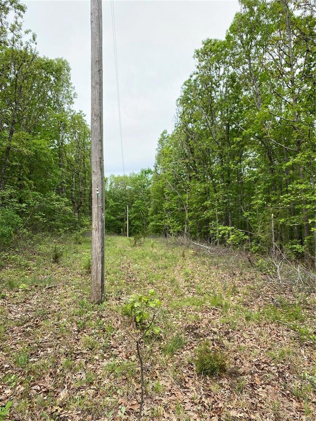 0 Hawksbill Dr, Cullen Township, MO 65459 - photo 4