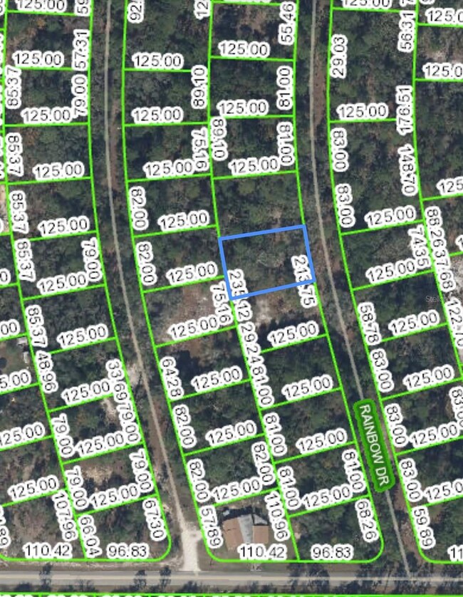 LOT 17 Rainbow Dr, Lake Placid, FL 33852 - photo 3
