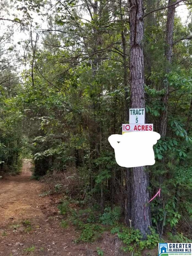 5 Charles Taylor Rd unit 5, Vance, AL 35490 - photo 4