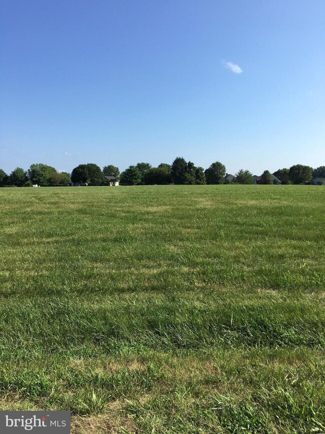 8920 Orchard Dr, Chestertown, MD 21620 - photo 3