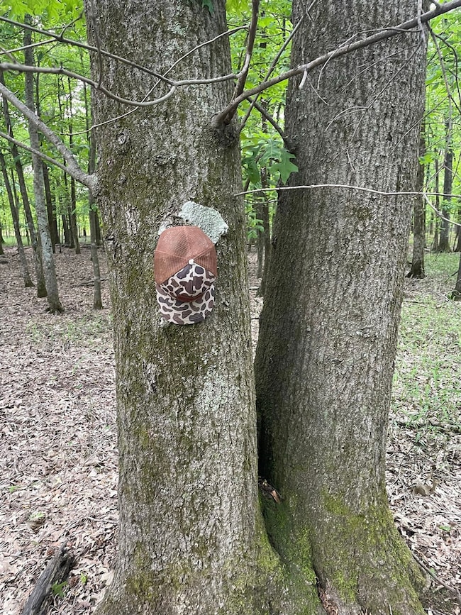 Highway 6, Marks, MS 38646 - photo 2