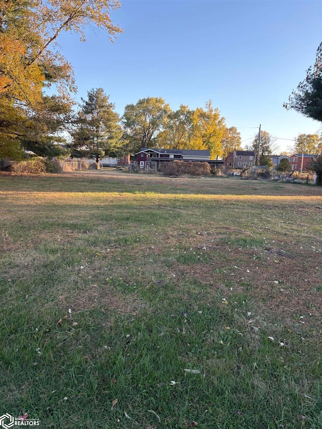 2040 Young St, Nauvoo, IL 62354 - photo 2