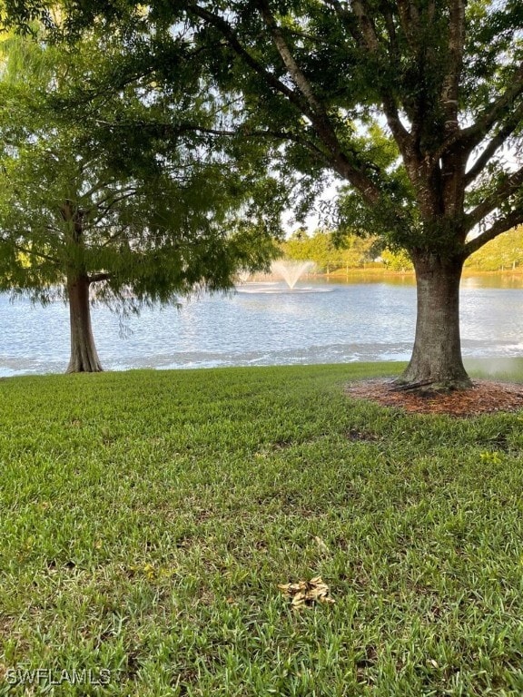 Water view