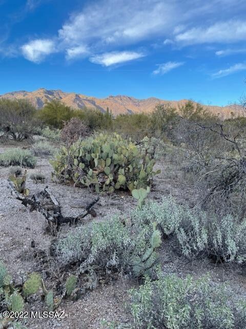 image2 (1)