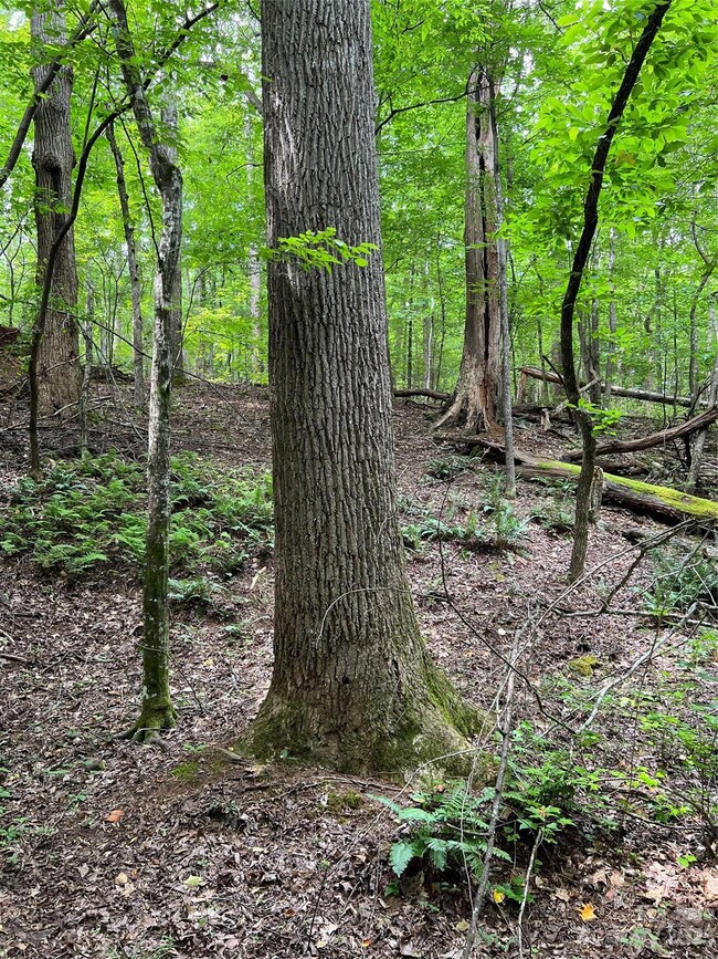 1927 State Road S-46-883, Clover, SC 29710 - photo 7