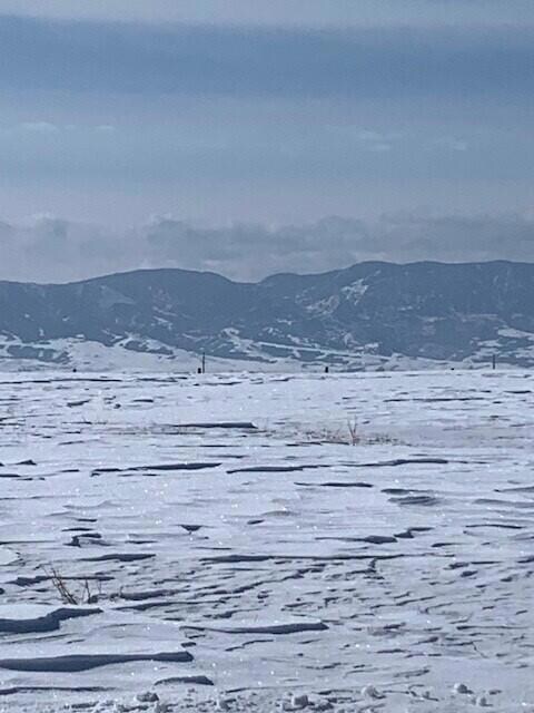 Mountain View 2