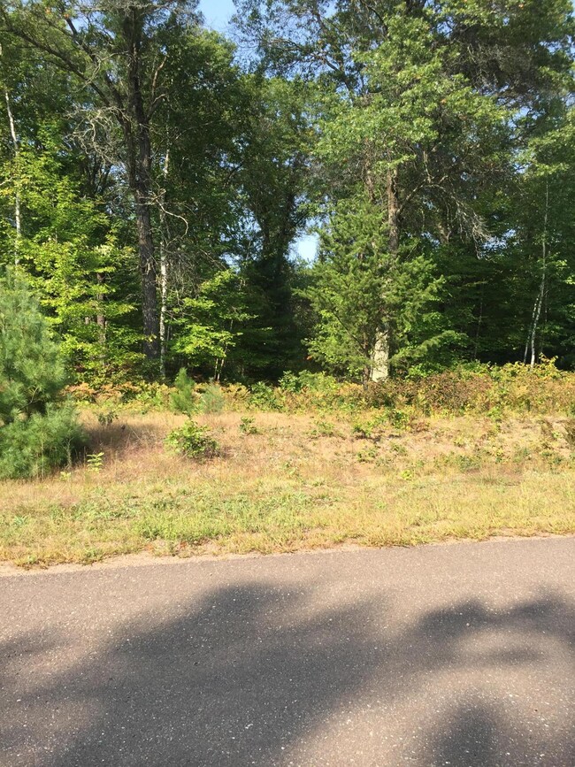 0 Shady Oak Lot 3 Ln unit NST6365666, Siren, WI 54872 - photo 4