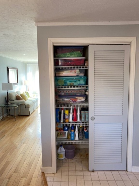 903 Irving Rd, Randolph, MA 02368 - photo 4