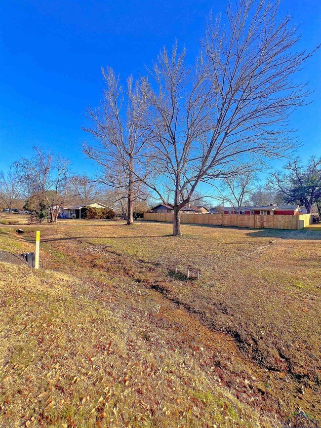 150 Dale Dr, Kilgore, TX 75662 - photo 4