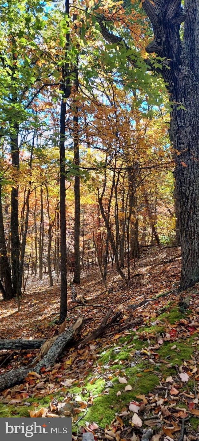 Lot 8A Little Mountain, Cabins, WV 26855 - photo 6