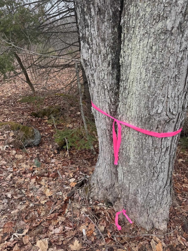 3225 George Hill Rd, Springfield, NH 03284 - photo 5