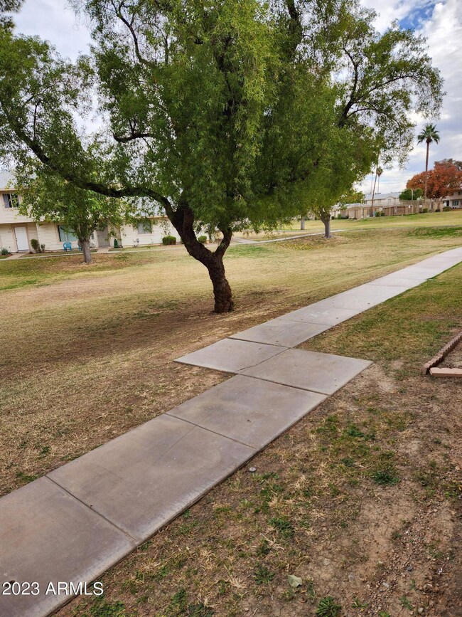 TerraceFrontYard