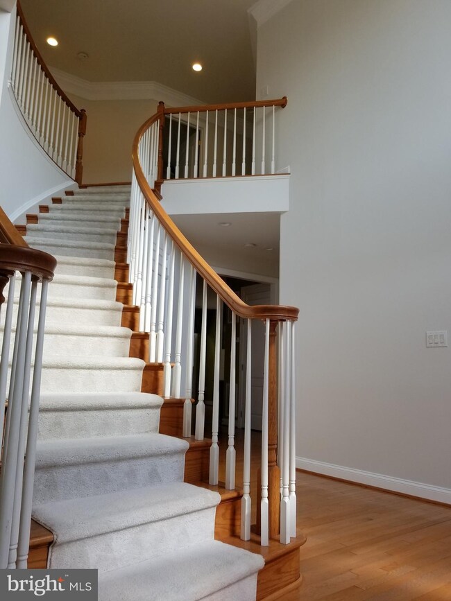 43438 Mountcastle Dr, Chantilly, VA 20152 - photo 5