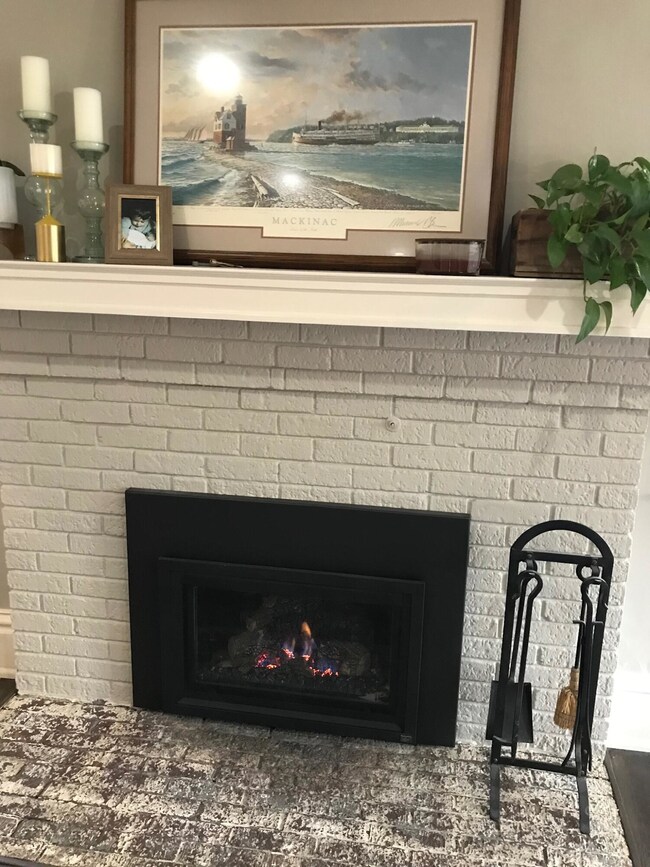 Living Room Fireplace