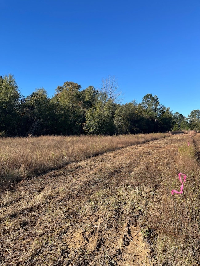 Bhl 1 Boise Cascade Rd, Bethune, SC 29009 - photo 4