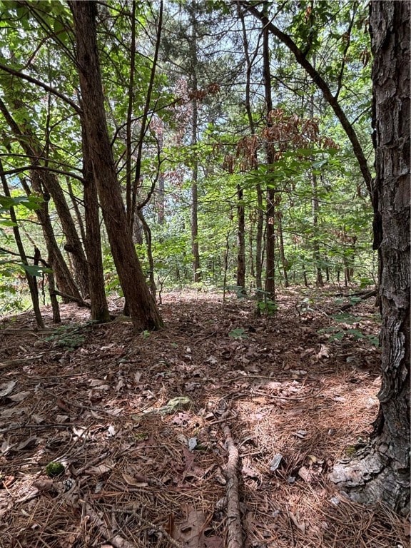 0 Tbd Cr 507 unit 1312043, Berryville, AR 72616 - photo 5