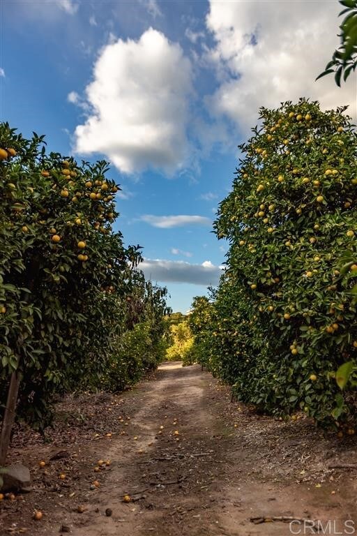 461 Wilshire Rd, Oceanside, CA 92057 - photo 6