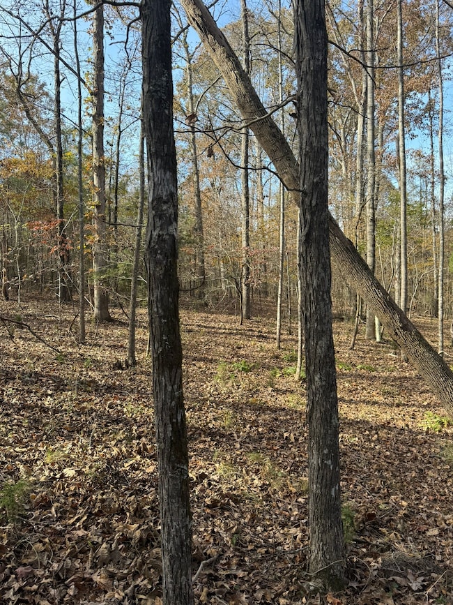 9654 State Road S-36-58, Kinards, SC 29355 - photo 3