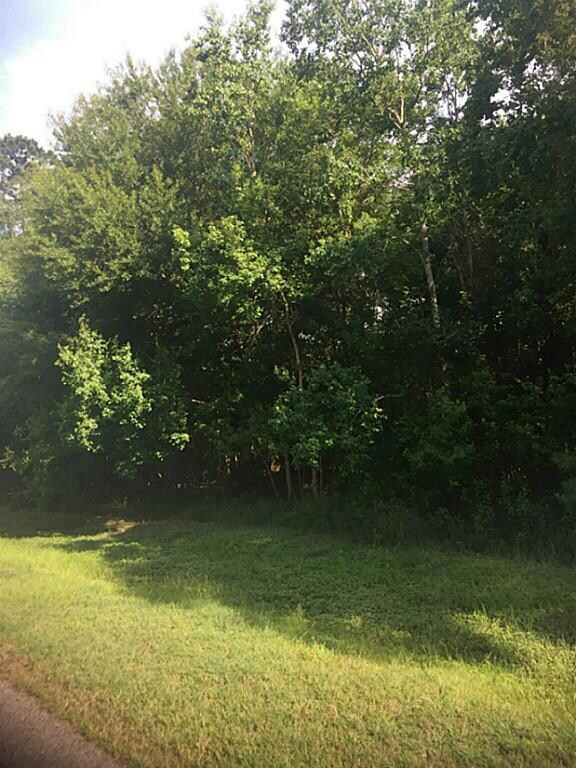 23403 Green Forest St, Hockley, TX 77447 - photo 2