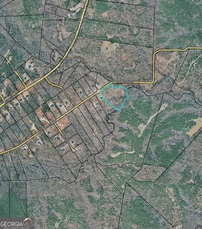 491 Deer Creek Dr, Forsyth, GA 31029 - photo 2