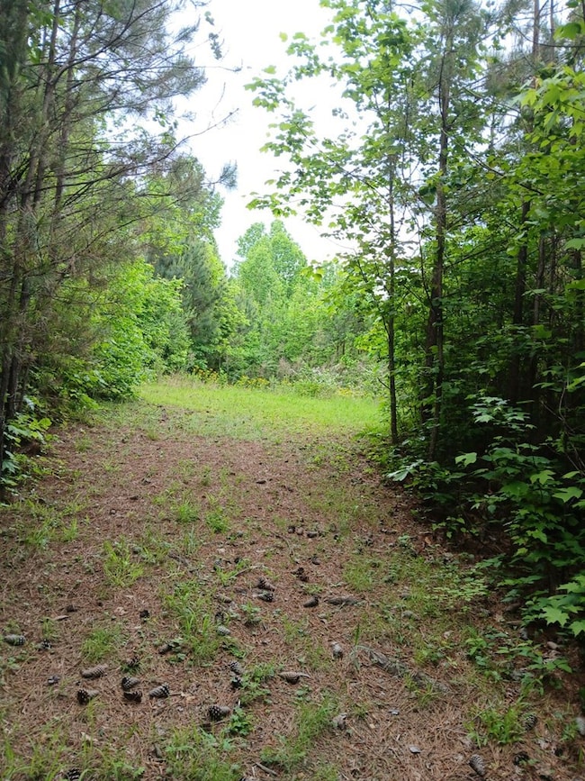 7.52 Ac. Hicks Ford Rd, Ellijay, GA 30540 - photo 6