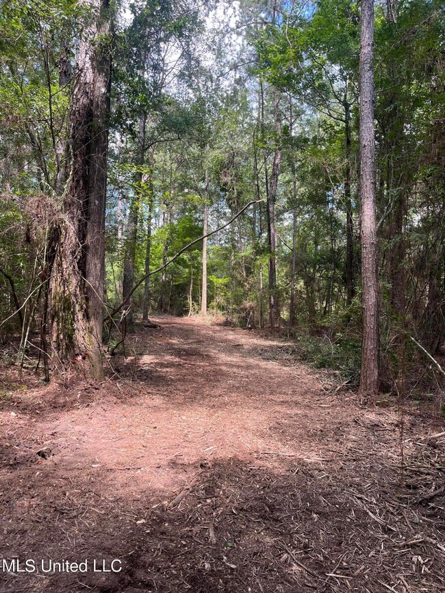 0 Nolan Felder Rd, Magnolia, MS 39652 - photo 2