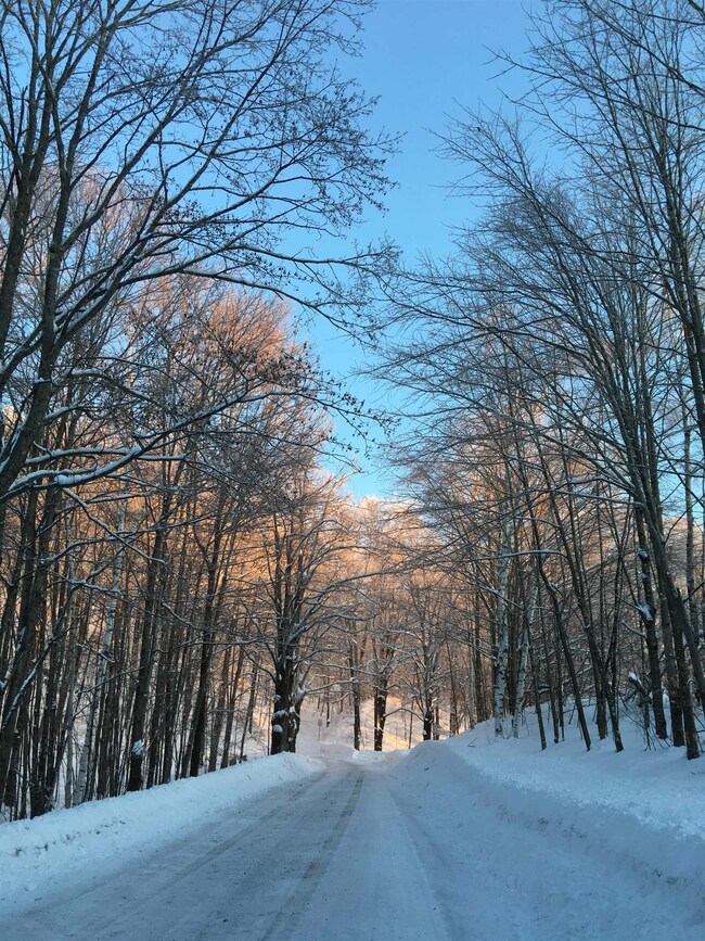 408 Hidden Ridge Rd, Pomfret, VT 05068 - photo 6