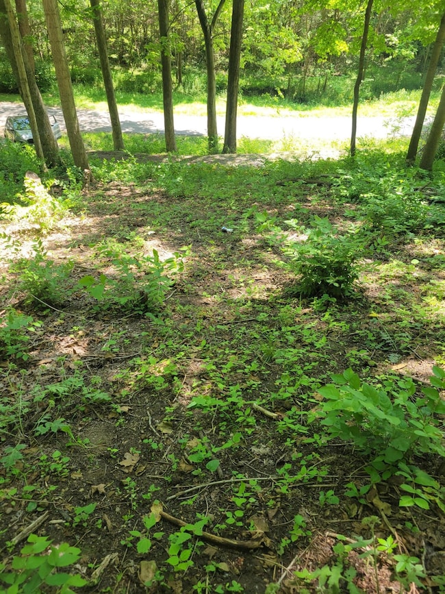 0 Avon Place SE unit 410 225019607, Buckeye Lake, OH 43008 - photo 2