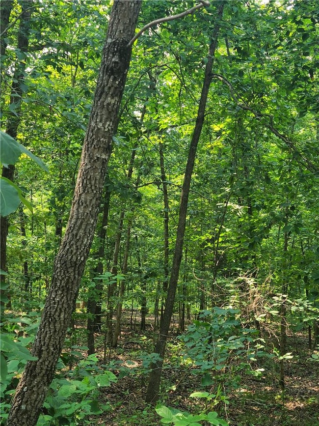 0 Lot 4 Chatburn Dr unit 1192140, Bella Vista, AR 72715 - photo 6