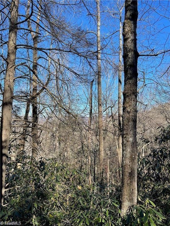 Lot E-15 Laurel Ridge Rd, Banner Elk, NC 28604 - photo 2