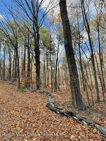 IMG_5270_1762470559201