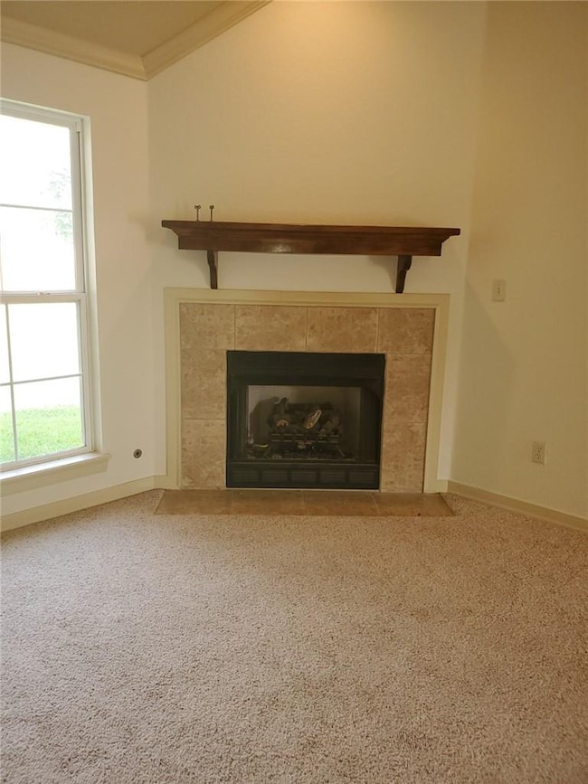Living Room fireplace