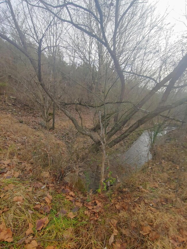 489 Oak Glen Cir, Fall Branch, TN 37656 - photo 6