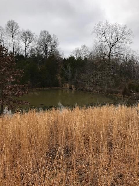 ONE OF TWO PONDS 