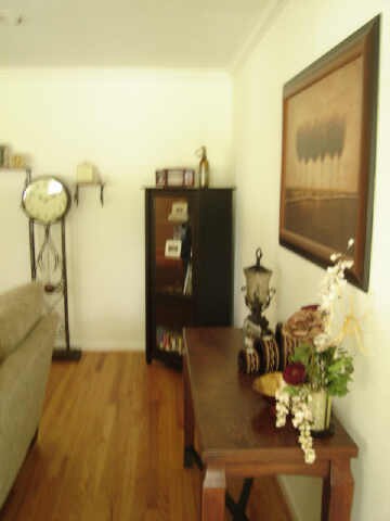 8610 Bob White Dr, Houston, TX 77074 - photo 6