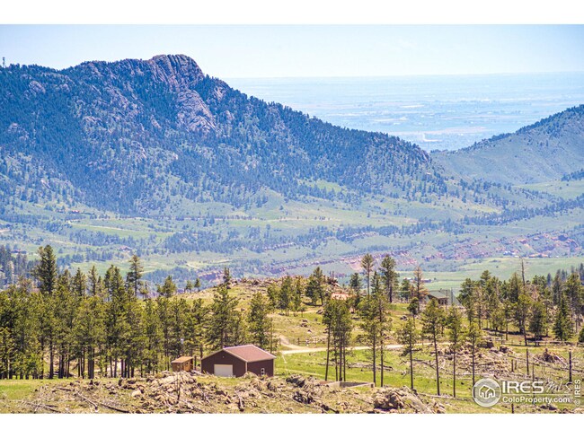 4111 Davis Ranch Rd, Bellvue, CO 80512 - photo 2