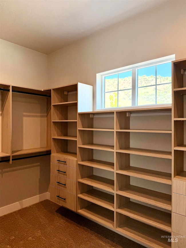 Spacious closet with dark carpet