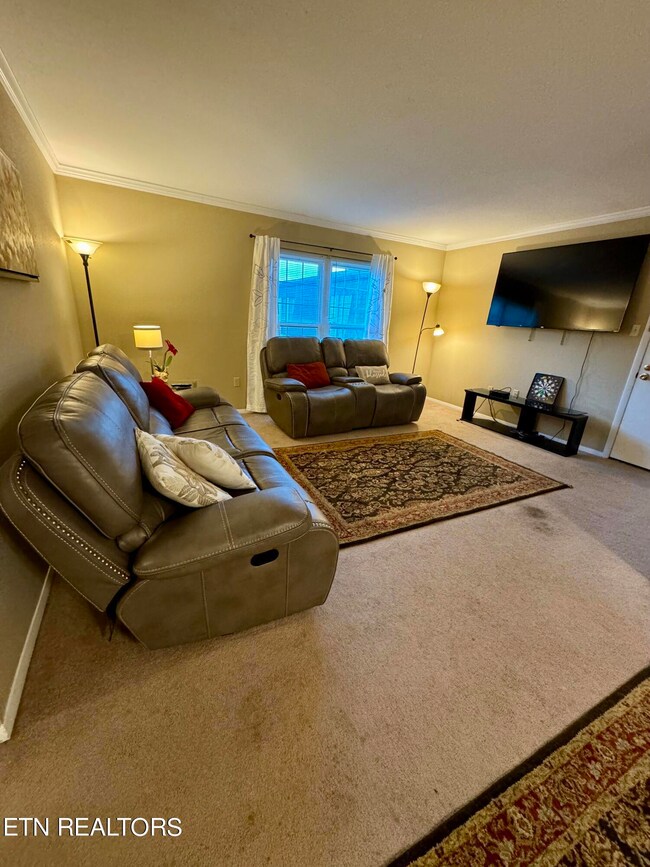 900 Mountain Creek Rd unit S370, Chattanooga, TN 37405 - photo 3