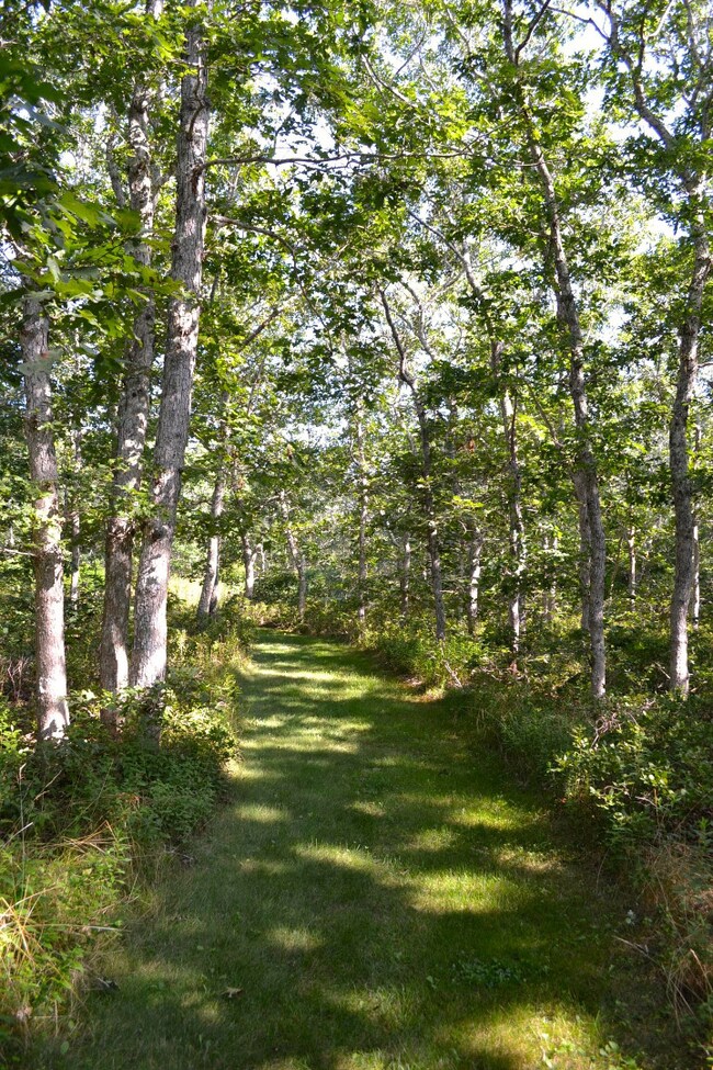 190 Waldrons Bottom Rd, West Tisbury, MA 02568 - photo 5