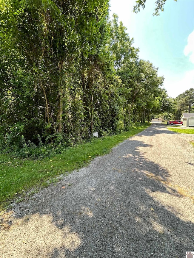 000 Maple Ln, Canton, KY 42211 - photo 2