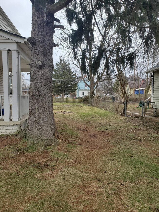 Side yard