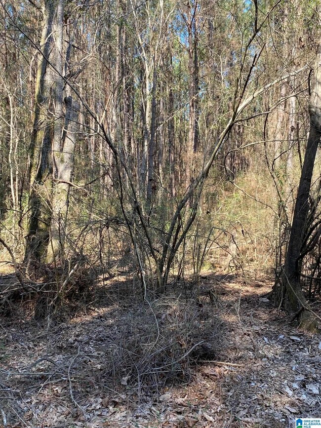 0 Crestwood Rd unit 116 1311025, Talladega, AL 35160 - photo 3