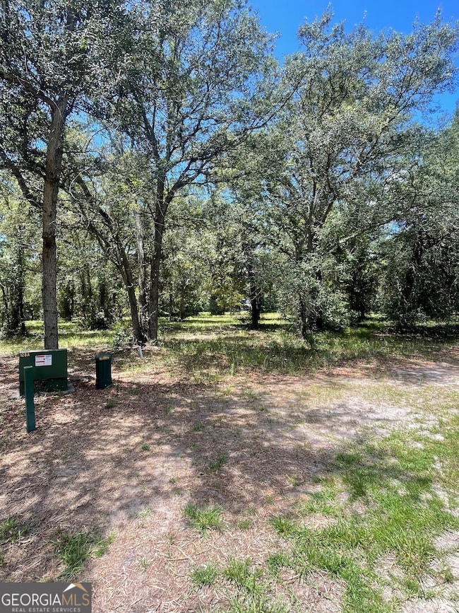 LOT 1A-13 Coopers Point Dr NE, Townsend, GA 31331 - photo 3