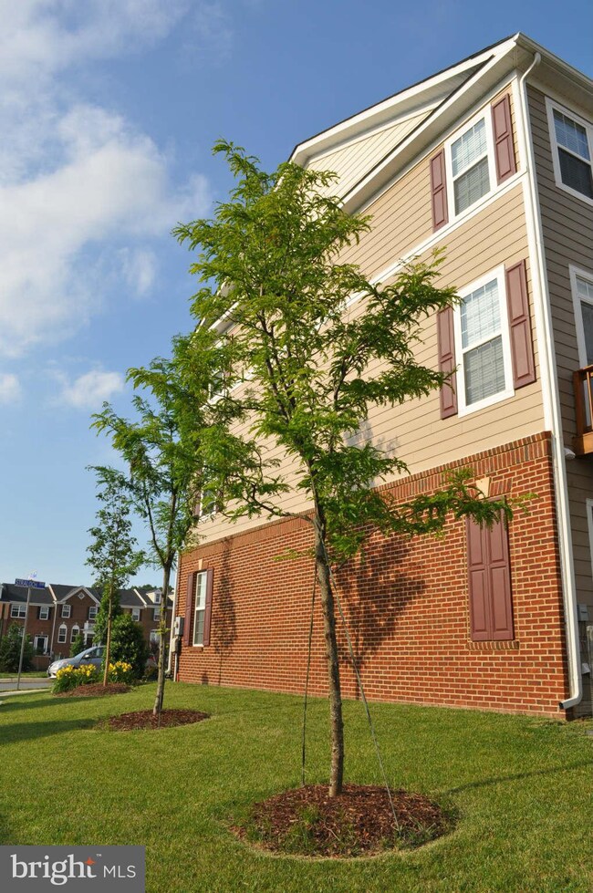 42721 Straloch Terrace, Ashburn, VA 20147 - photo 3