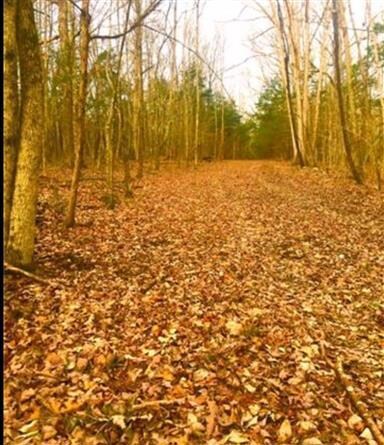 1019 Tennessee 64, Shelbyville, TN 37160 - photo 5