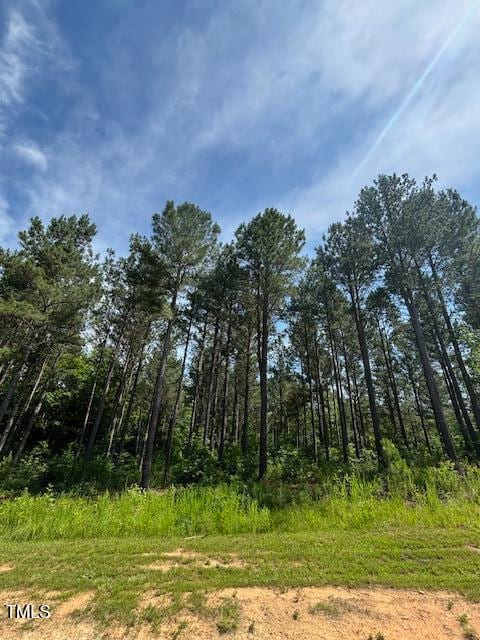 5 Pinnacle Shores Dr, Macon, NC 27551 - photo 5