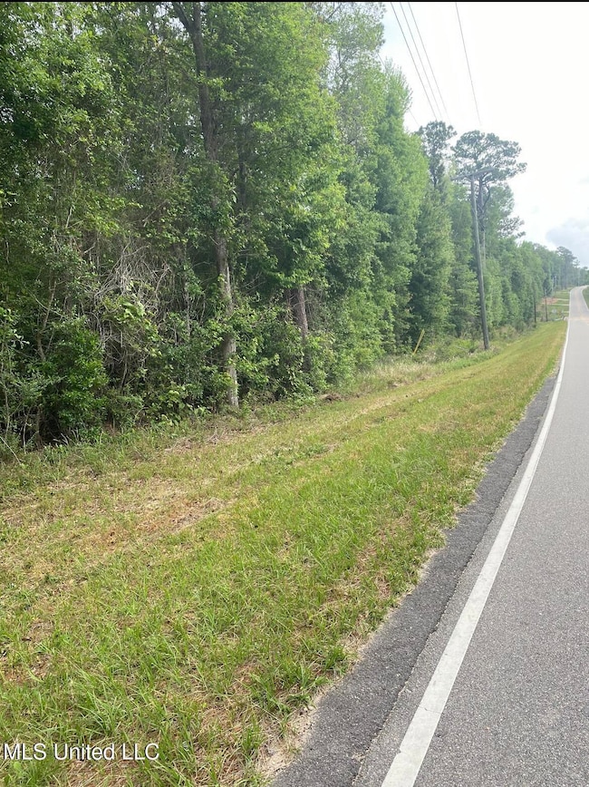 0 10 35 Ac Barton Agricola Rd, Lucedale, MS 39452 - photo 5