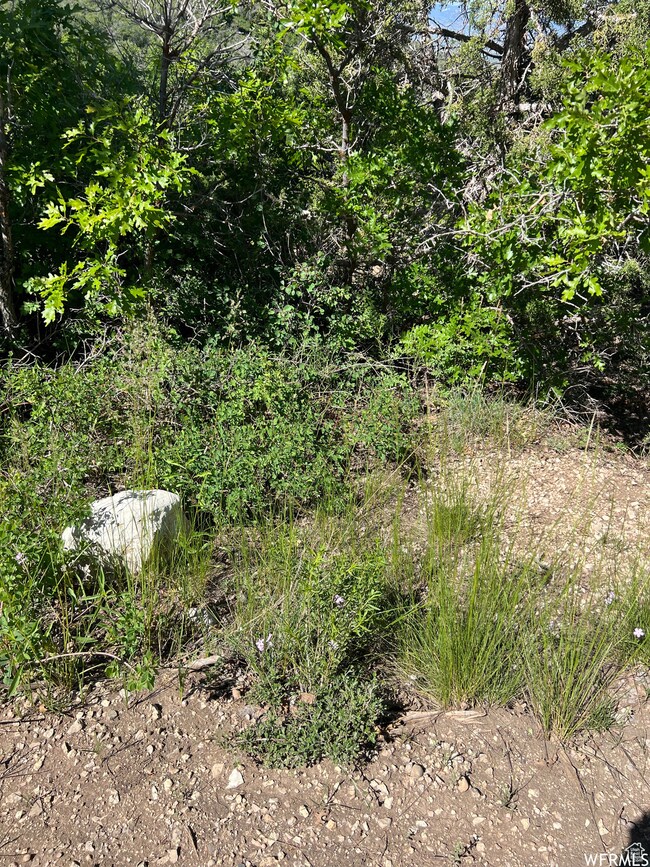 13606 E 22460 N, Fairview, UT 84629 - photo 7