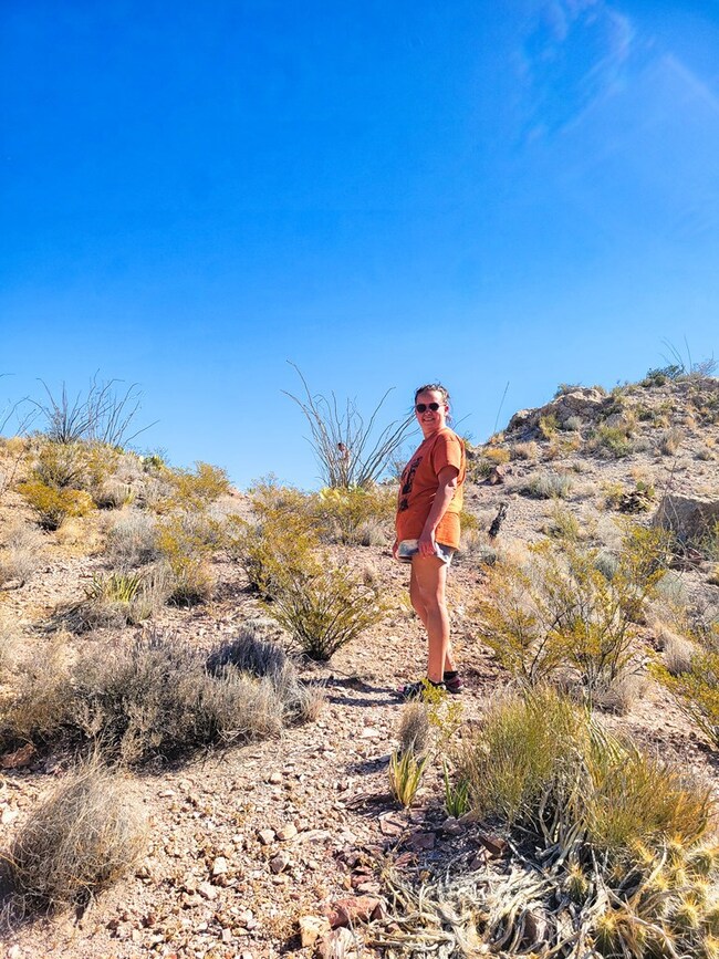 104 Tanque Caballo, Terlingua, TX 79852 - photo 7