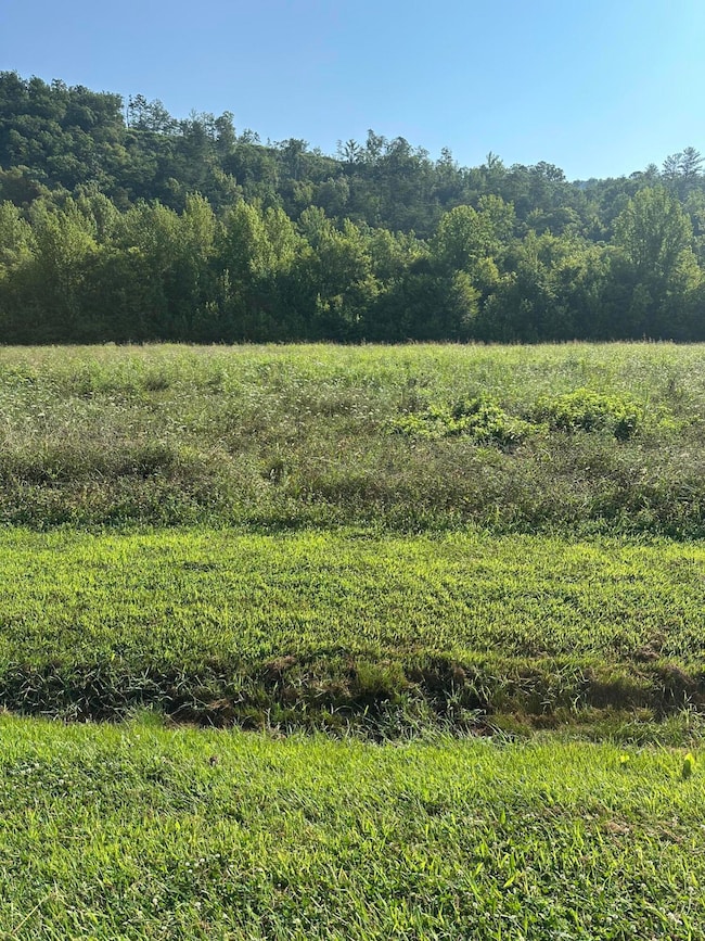 Front of lot